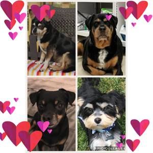 Meet your Posher, Lorie